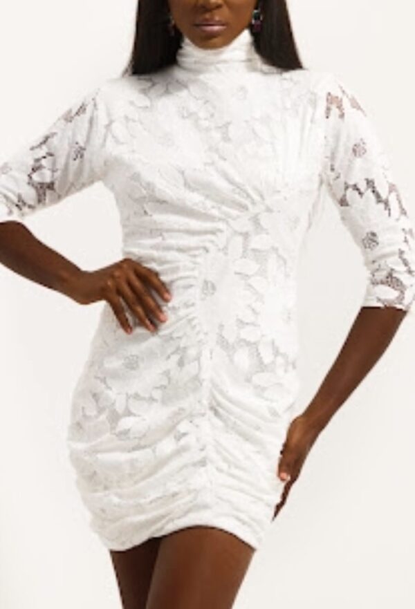 Nima Runched Turtle Neck Pleated Dress - Image 3